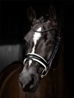 LeMieux Kudos Patent Dressage Bridle 8 LeMieux Kudos Patent Dressage Bridle -Lemieux 00cd8bc6 7526 48d8 a3b0 ad07bee6bcba 2ff53075 e557 4c7c b031 878d1b383912