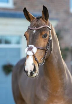 LeMieux Arika Grackle Bridle 20 LeMieux Arika Grackle Bridle -Lemieux 01c3392b 13b8 47b7 96c6 204f46028ba2