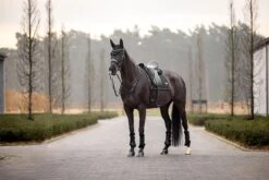 LeMieux Puissance Suede Dressage Pad -Lemieux 06366fa2 b7b6 46a8 8ea5 e15e73a0ffd2 733ff509 7a5f 446a 8a58 f65218ceec7f