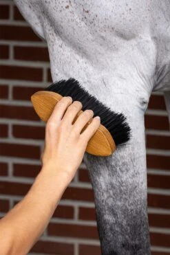 LeMieux Artisan Flick Brush 10 LeMieux Artisan Flick Brush -Lemieux 098f10c3 803d 4501 90d3 e81e4858e497 b57c55df 76ec 4c83 975b a58d727d7e42