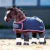 LeMieux Toy Pony Winners Rug 2 LeMieux Toy Pony Winners Rug -Lemieux 0de524d5 2a3f 4616 af55 4475bf77719d 0bb9fd4a 446c 4bea b31e 415894296724