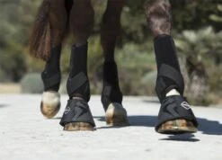 LeMieux Ultra Support Boots 11 LeMieux Ultra Support Boots -Lemieux 0e2b0c82 0b5c 4ab3 a6ce 332ded3a70e4