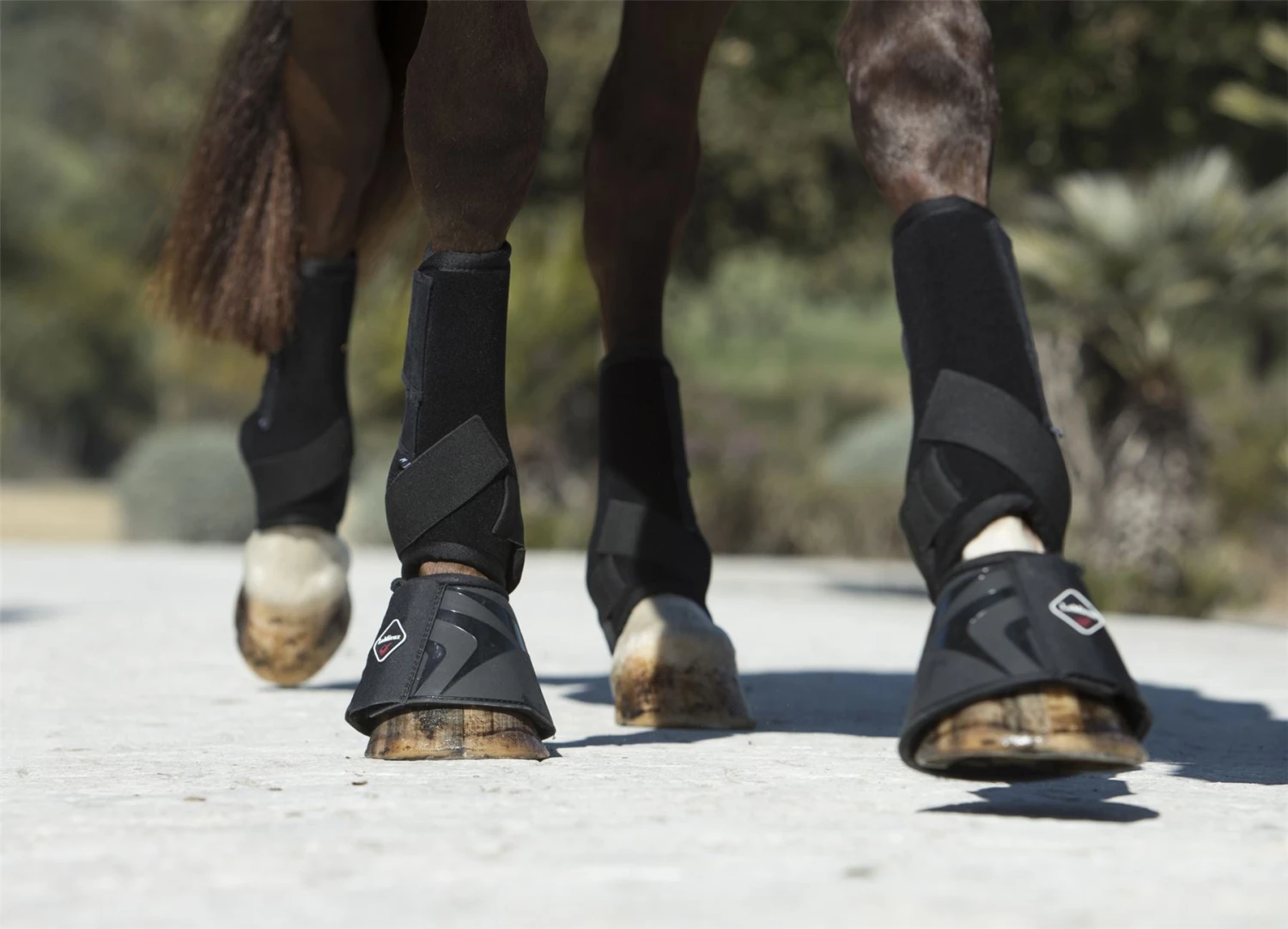 LeMieux Ultra Support Boots 6 LeMieux Ultra Support Boots - Image 4