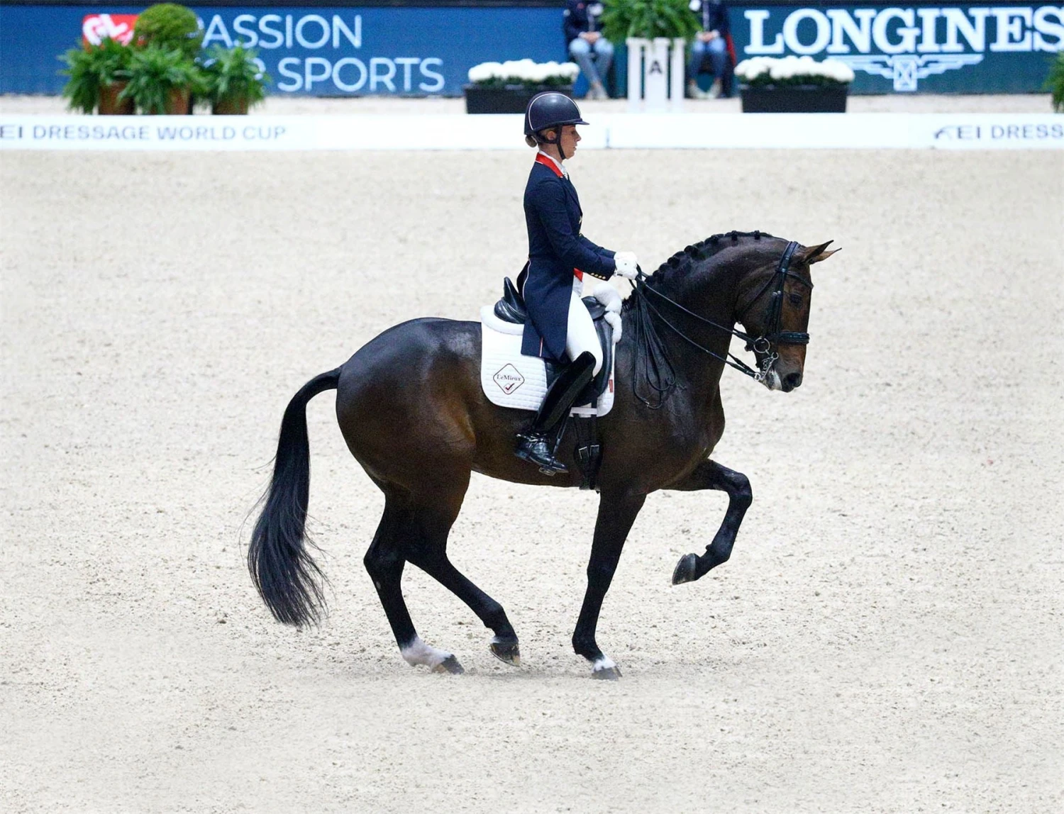 LeMieux Cotton Dressage Competition Square 6 LeMieux Cotton Dressage Competition Square - Image 4