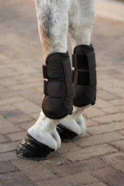 LeMieux Capella Tendon Boots 21 LeMieux Capella Tendon Boots -Lemieux 14d6065b 6d1c 4a68 983a ef83c6f9bc75 d031df60 849e 46af b8b2 70aa7c4b3a7b