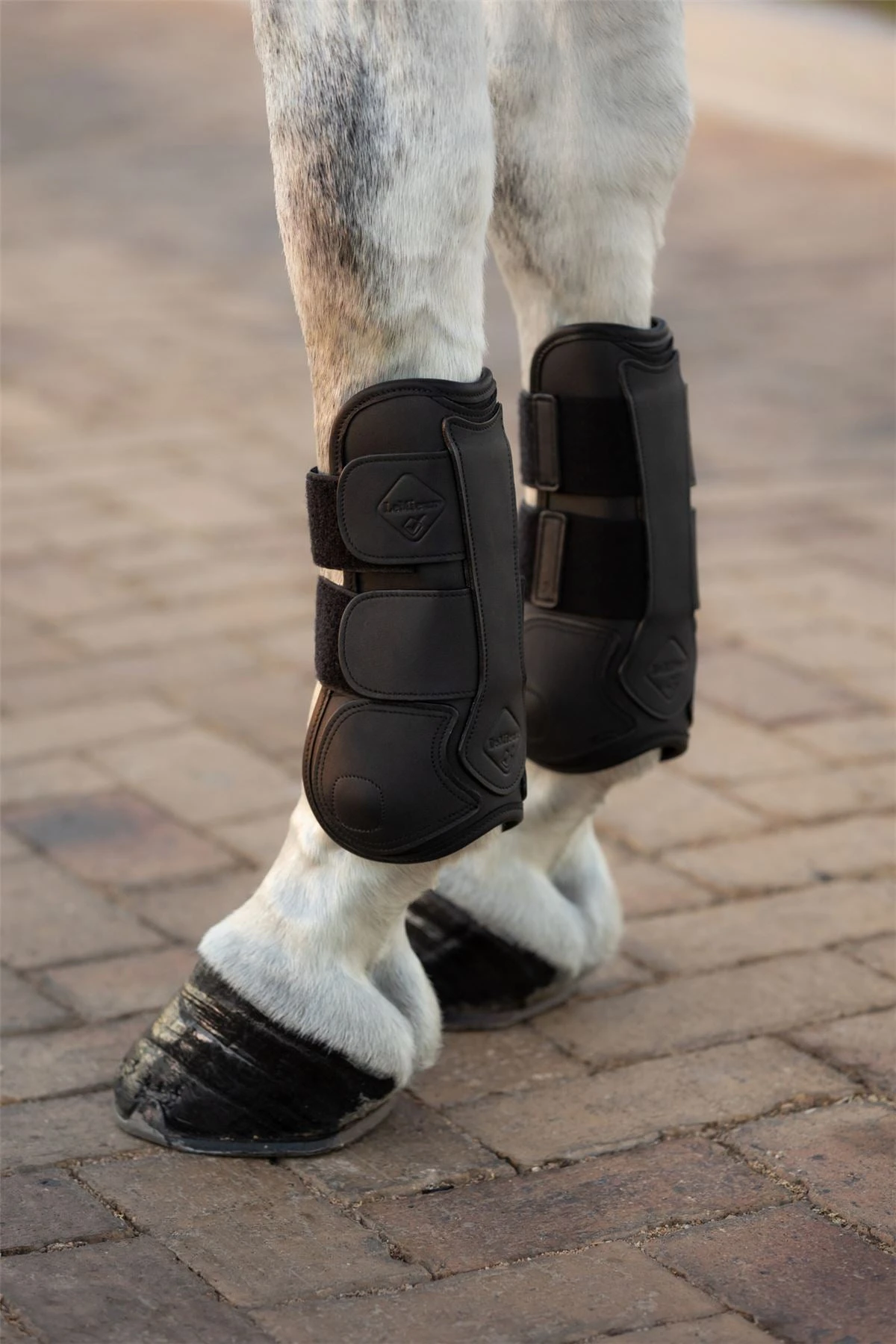 LeMieux Capella Tendon Boots 10 LeMieux Capella Tendon Boots - Image 8