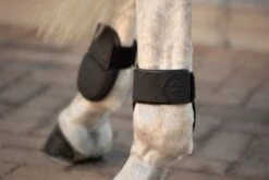 LeMieux Capella Fetlock Boots -Lemieux 14d9339a a996 44b1 ab9a 638e0aa31e30