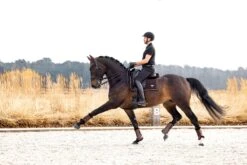 LeMieux Puissance Suede Dressage Pad -Lemieux 1665c99b c843 4e8d b52e dbb91f2d4ad0 5a571d5e 1d93 4caf 9e13 e1b3265e5a27