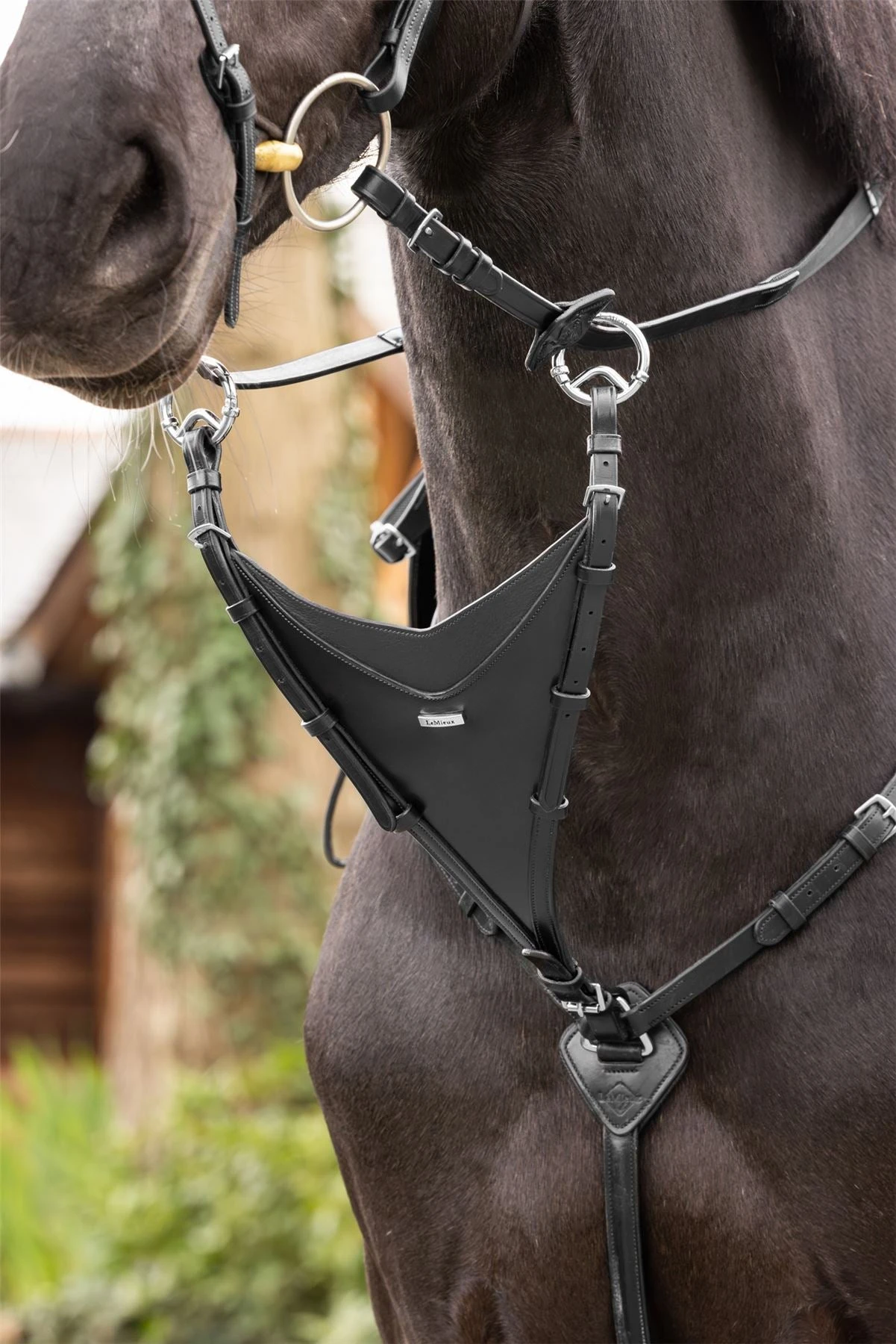 LeMieux Bib Martingale Attachment 5 LeMieux Bib Martingale Attachment - Image 3