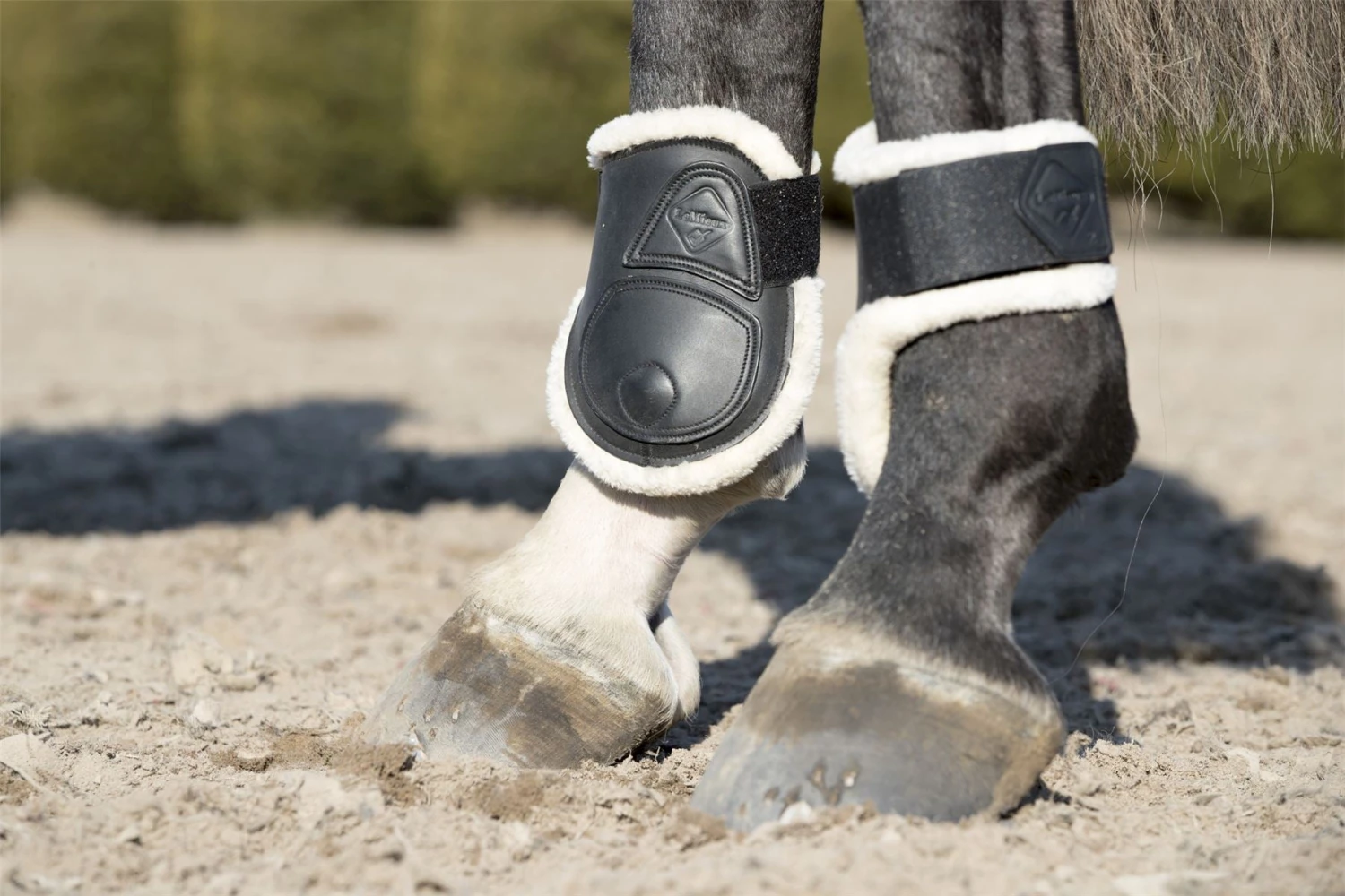 LeMieux Capella Comfort Fetlock Boots 7 LeMieux Capella Comfort Fetlock Boots - Image 5