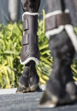 LeMieux Capella Comfort Tendon Boots -Lemieux 1c48af2e 80ea 4af7 93b2 58a0282bcc2c