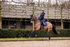 LeMieux Loire Classic Dressage Square -Lemieux 1e014e92 6454 48ae 80dd d89ee0eb995a