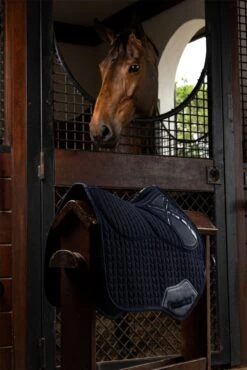 LeMieux ProSorb Plain 2 Pocket Close Contact Square 23 LeMieux ProSorb Plain 2 Pocket Close Contact Square -Lemieux 203ce8a6 5f30 4666 8877 d4795e9ce84b