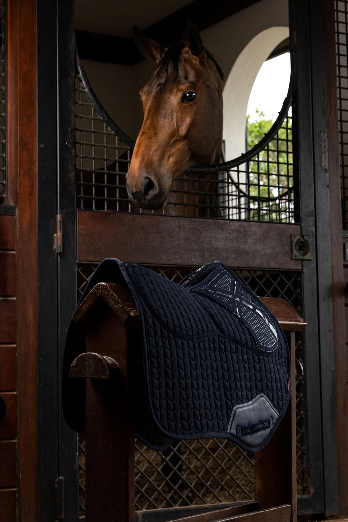 LeMieux ProSorb Plain 2 Pocket Close Contact Square 6 LeMieux ProSorb Plain 2 Pocket Close Contact Square - Image 4