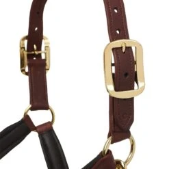 LeMieux Anatomic Headcollar 22 LeMieux Anatomic Headcollar -Lemieux 206bf1a6 32a9 4b38 ae3a 1346c49b9ec6