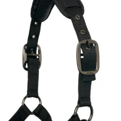 LeMieux ProSafe Headcollar 13 LeMieux ProSafe Headcollar -Lemieux 2107e417 8242 48eb 894b ead5daa477d3 35fdaa66 66df 4f57 8f9f 20a93433613d