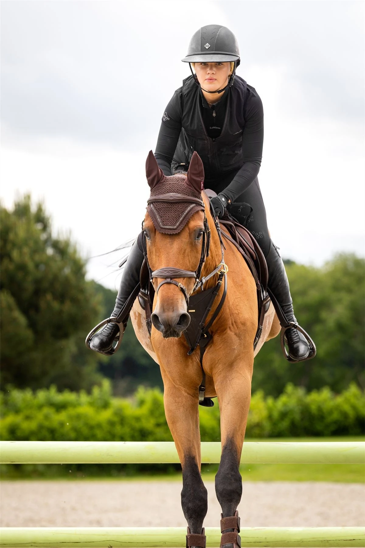 LeMieux Crystal Fly Hood 13 LeMieux Crystal Fly Hood - Image 11