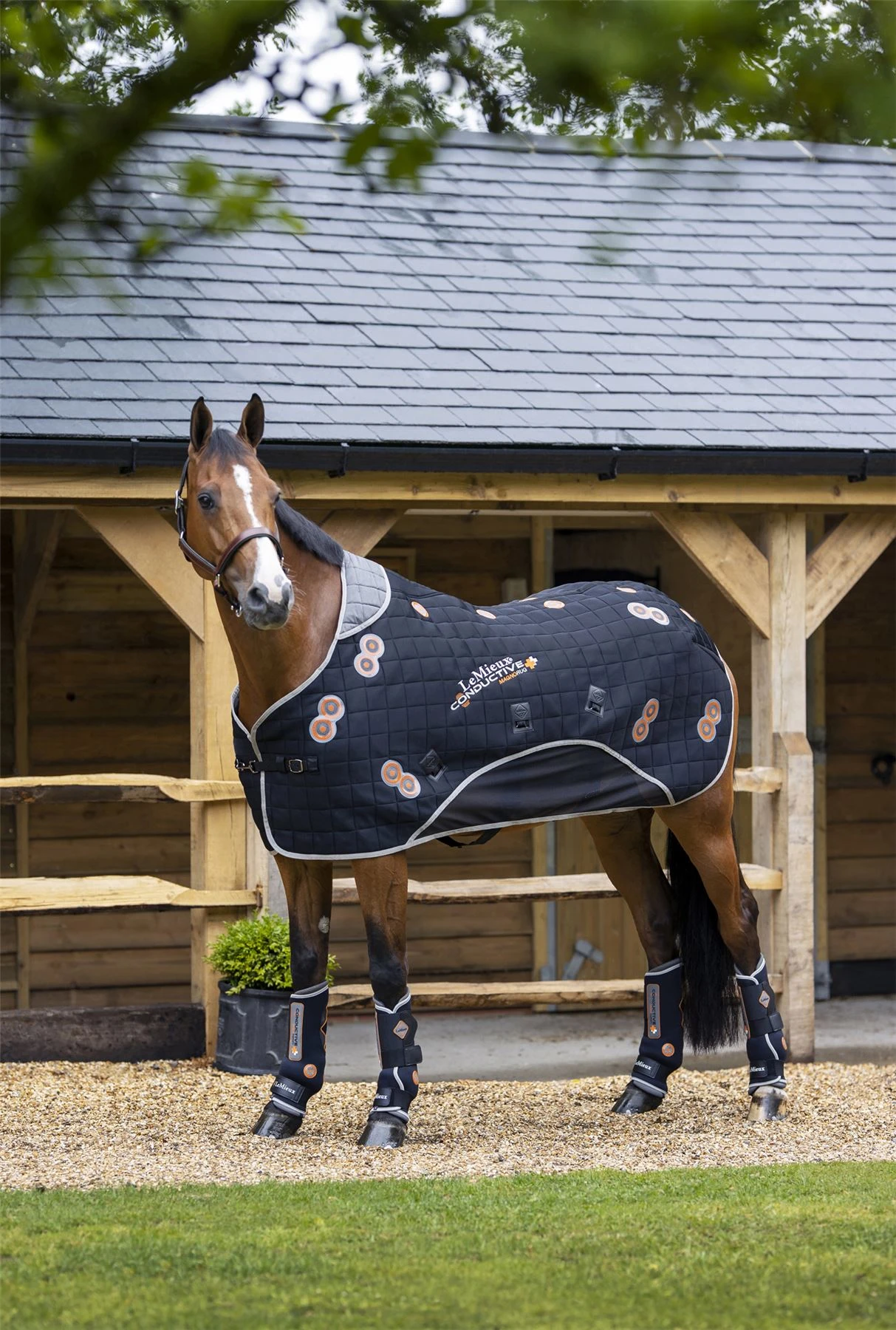 LeMieux Conductive Magno Rug 6 LeMieux Conductive Magno Rug - Image 5