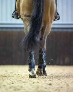 Front Page -Lemieux 2588051b c0ba 464f 97b0 9b67cda05138 8a7fb383 7c52 4e01 9986 c413ac06498d