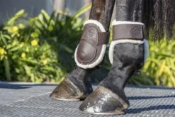LeMieux Capella Comfort Fetlock Boots 25 LeMieux Capella Comfort Fetlock Boots -Lemieux 2758de67 ebe7 4b59 894f e2b4112e1552 c09db15c ed53 41fe 9c28 0f9aca22738d
