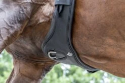 LeMieux Gel-Tek Anatomic Jumping Girth 22 LeMieux Gel-Tek Anatomic Jumping Girth -Lemieux 27bbb388 d86b 4e14 9a8d acdce61f5160 67b0a5b1 962f 4eb3 9b6c 50e7c1c8324c