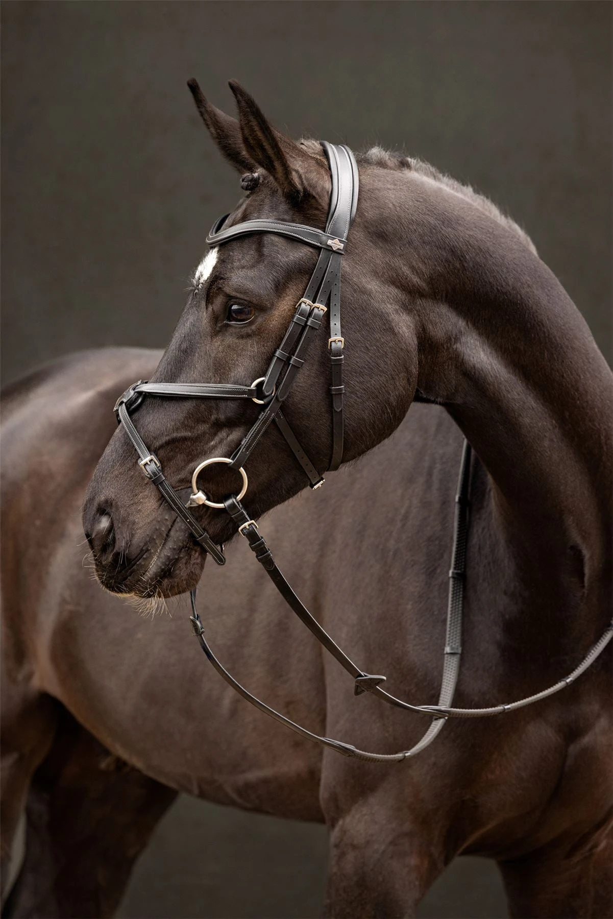 LeMieux Arika Grackle Bridle 12 LeMieux Arika Grackle Bridle - Image 10