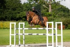 LeMieux Puissance Suede CC Pad -Lemieux 28eaf7c3 9333 472c a9c7 27c3e1b39e92