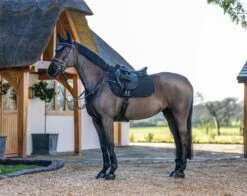 LeMieux Jump Work Pad -Lemieux 29491034 39f4 423c 9184 d7ff9c80b5a2 ac26450e 576a 42d5 8f4b b3eefb0e7309