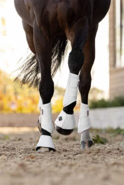 LeMieux ProShell Over Reach Boots -Lemieux 29fa0ff5 70a9 4466 a2f9 d28d5a0ee1ec 801799e5 a93d 4042 b3bd 4053cd45c3c4