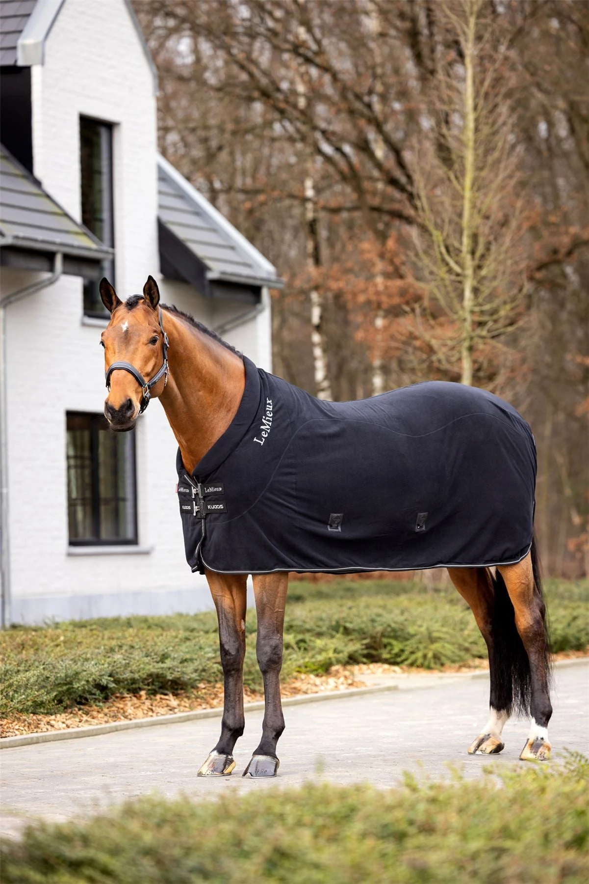 LeMieux Kudos Fleece Cooler Rug 6 LeMieux Kudos Fleece Cooler Rug - Image 4