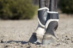 LeMieux Capella Comfort Fetlock Boots 19 LeMieux Capella Comfort Fetlock Boots -Lemieux 2cdddc08 6465 4190 ae96 1295ce4838ed c6425d73 8eb3 462f b4a5 a177209cb92f