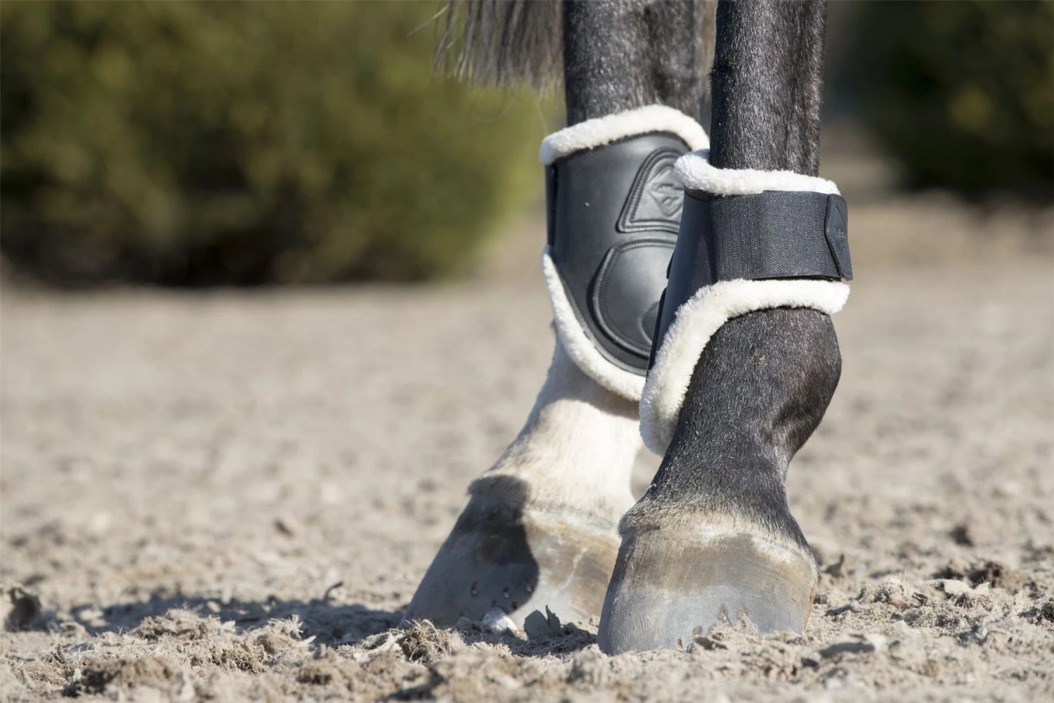 LeMieux Capella Comfort Fetlock Boots 8 LeMieux Capella Comfort Fetlock Boots - Image 6