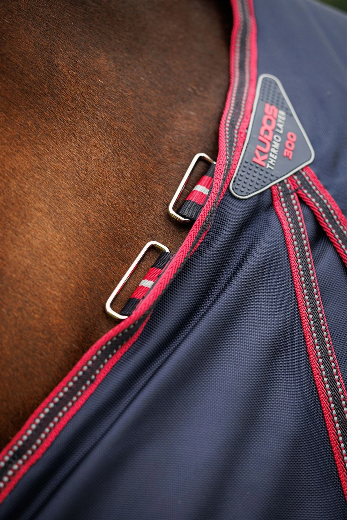 LeMieux Kudos Thermo Layer Turnout Rug 300g 5 LeMieux Kudos Thermo Layer Turnout Rug 300g - Image 3