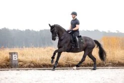 LeMieux Puissance Suede Dressage Pad -Lemieux 33bbe156 8971 46d4 914d 5e3d8e63da6d ba6123d7 d3d3 4d49 90cd eab400c1521a