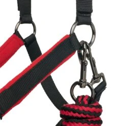 LeMieux Vogue Headcollar & Leadrope -Lemieux 36729e6e ec8d 44e4 98c5 9b2fbf5c5f58