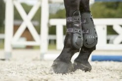 LeMieux Impact Responsive Tendon Boots -Lemieux 37d92dc7 3363 41c2 9da0 0c32bfc6006b