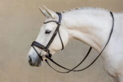 LeMieux Classic Dressage Bridle -Lemieux 38ca1f45 0a75 464f a93a 5aeb184f8ec7 9a12b8db b882 4676 bded e773d4c0ccb7