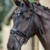 LeMieux Kudos Patent Dressage Bridle 1 LeMieux Kudos Patent Dressage Bridle -Lemieux 39ab8f01 f610 4426 836a 2c24ef478867 0b8aaf3f 9017 41e0 87b6 829a0a440367