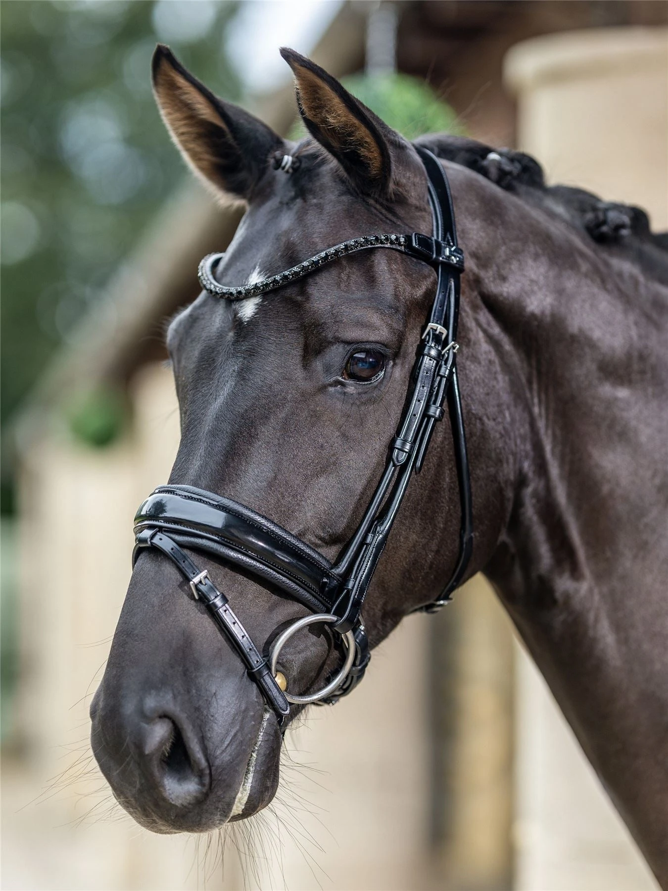 LeMieux Kudos Patent Dressage Bridle 3 LeMieux Kudos Patent Dressage Bridle