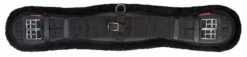 LeMieux Integrated Dressage Girth 15 LeMieux Integrated Dressage Girth -Lemieux 3ad4b602 0a0a 4f10 b68f 93d8e3c164fa
