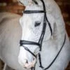 LeMieux Competition Flash Bridle -Lemieux 3b958e20 9790 4092 8c5f 6a973b6133c3 d0ffaefc 6a18 4d14 88eb 7247e26dc551