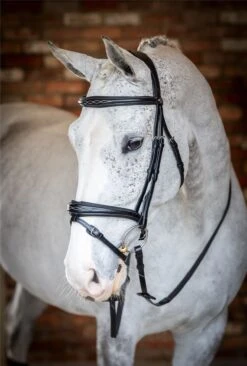 LeMieux Competition Flash Bridle