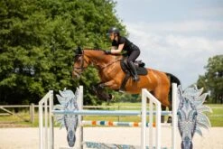 LeMieux Crystal Suede Close Contact Pad 24 LeMieux Crystal Suede Close Contact Pad -Lemieux 3bb4f4a1 a97a 4ec6 a2bf 93c0197fc3c6