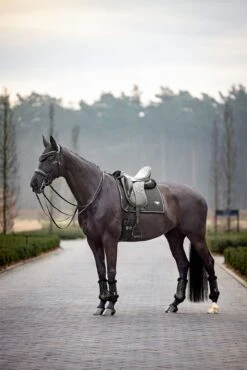 LeMieux Puissance Suede Dressage Pad -Lemieux 3c46d1b6 59e6 43e2 8042 5f65d3bb6879 294e54d7 f0af 436f be5b db16ed34bc44