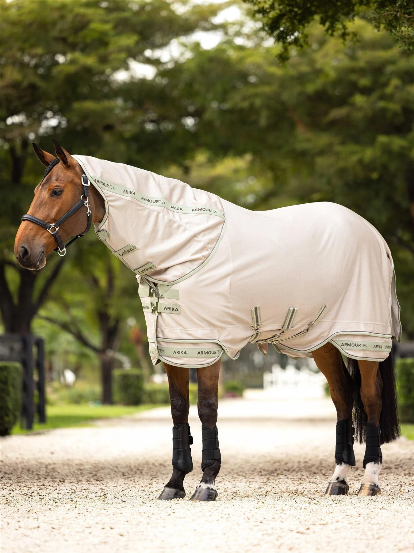 LeMieux Arika Armour-Tek Fly Rug 6 LeMieux Arika Armour-Tek Fly Rug - Image 4