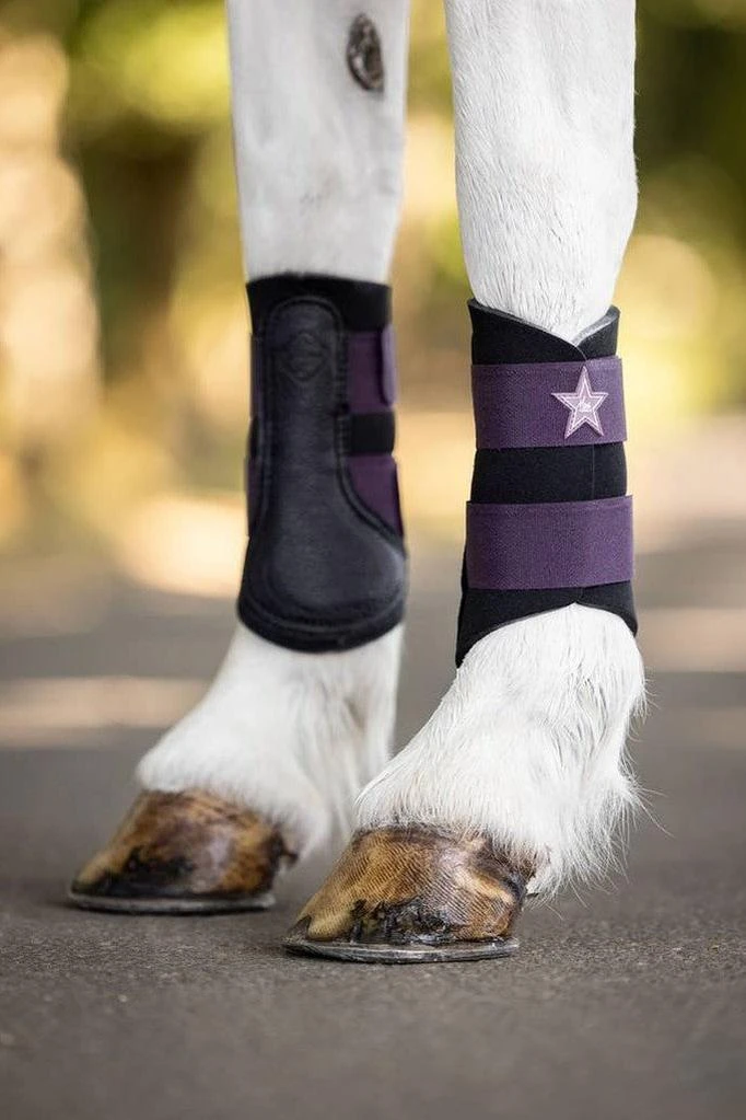 LeMieux Mini Brushing Boots Fig 4 LeMieux Mini Brushing Boots Fig - Image 2