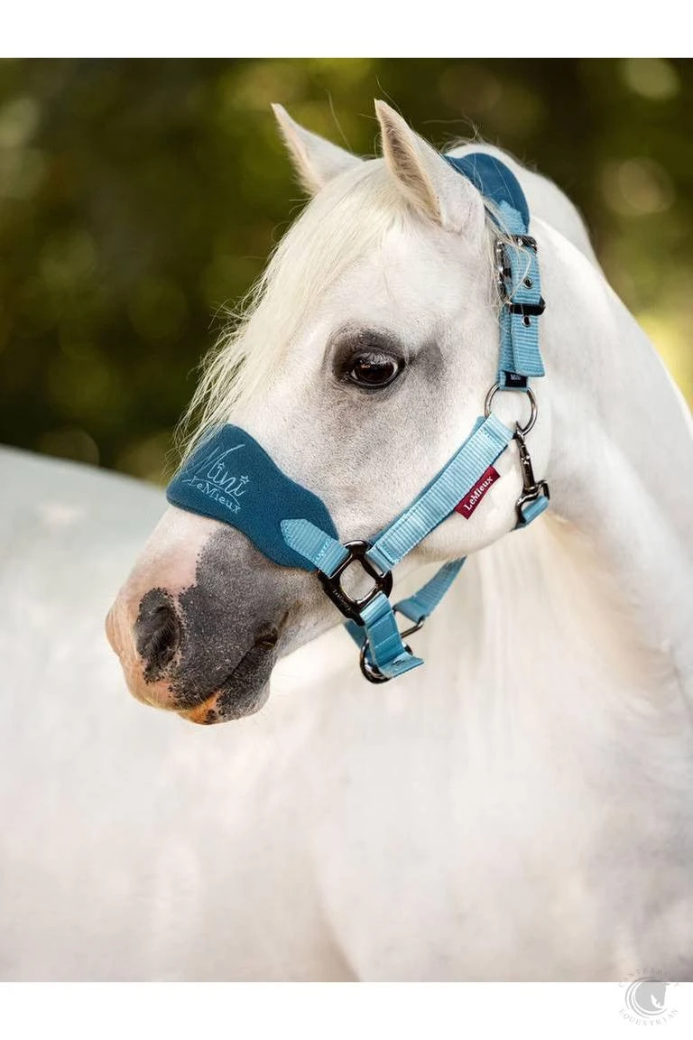 LeMieux Mini Vogue Headcollar & Leadrope Marine 4 LeMieux Mini Vogue Headcollar & Leadrope Marine - Image 2