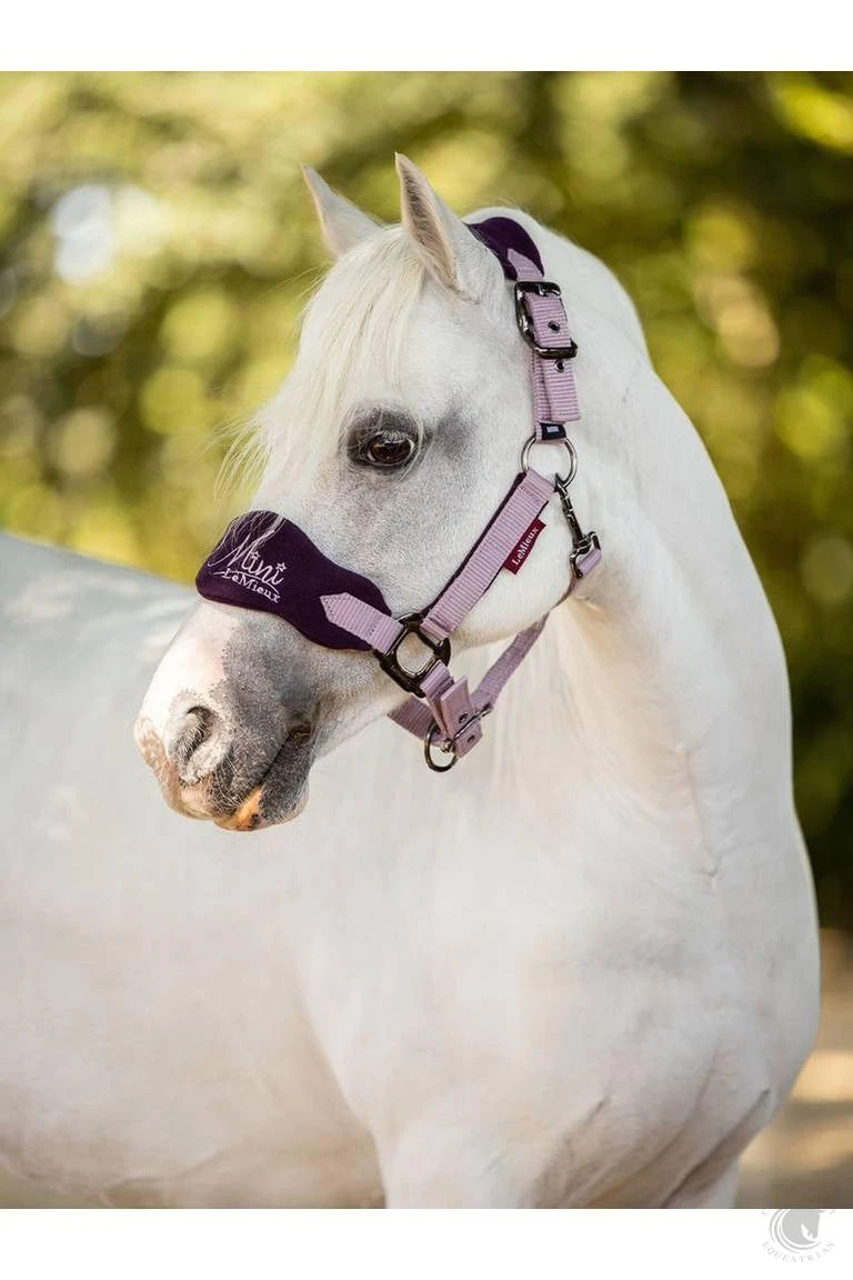 LeMieux Mini Vogue Headcollar & Leadrope Fig 4 LeMieux Mini Vogue Headcollar & Leadrope Fig - Image 2