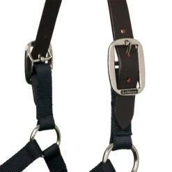 LeMieux Break Away Headcollar -Lemieux 4244638d 9008 47ee a1f3 17d4014eb3c1 5b4bc587 d45a 4e26 941f f9da2ce1b0e6