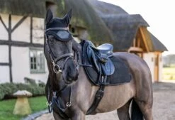 LeMieux Jump Work Pad -Lemieux 4550da96 5206 490c 8a6d 0b87a3ac6f82